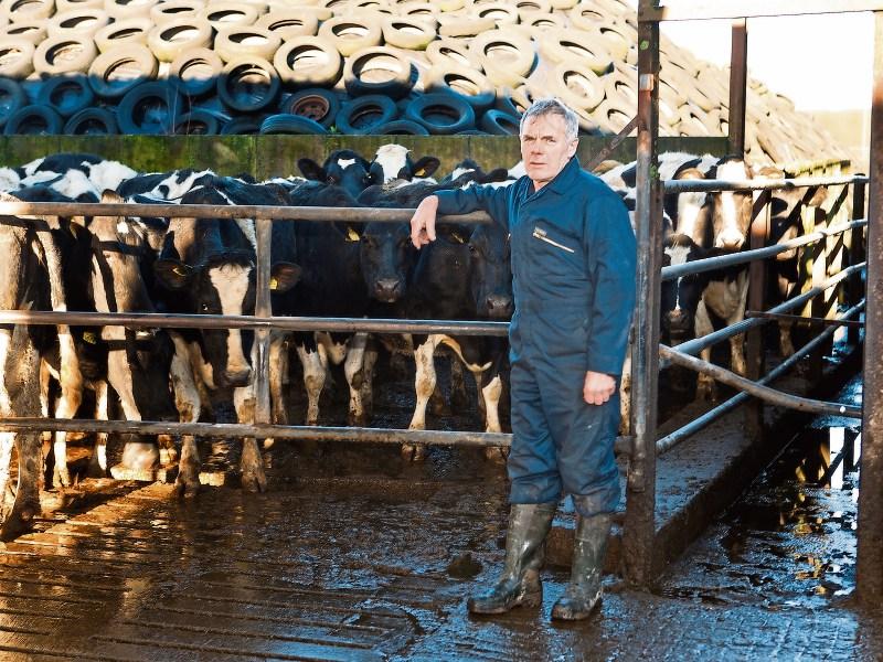 Milk price cut a big blow to Limerick farmers 