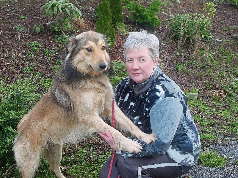 Marie Quirke with Collie at the Limerick Animal Welfare centre