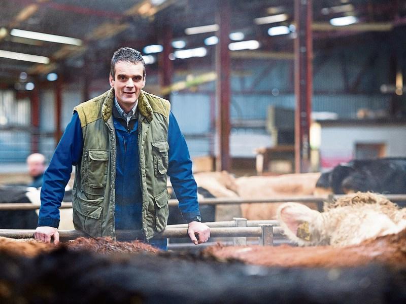 Fodder crisis is a 'national emergency' - IFA