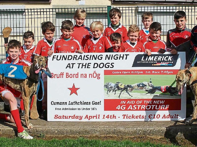 Local trainer Declan Reale brought some of his dogs down for the launch of Bruff GAA Bord na nÓg’s night at Limerick Greyhound Stadium
