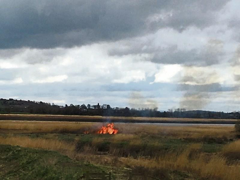 Willow Fire hits edge of Limerick