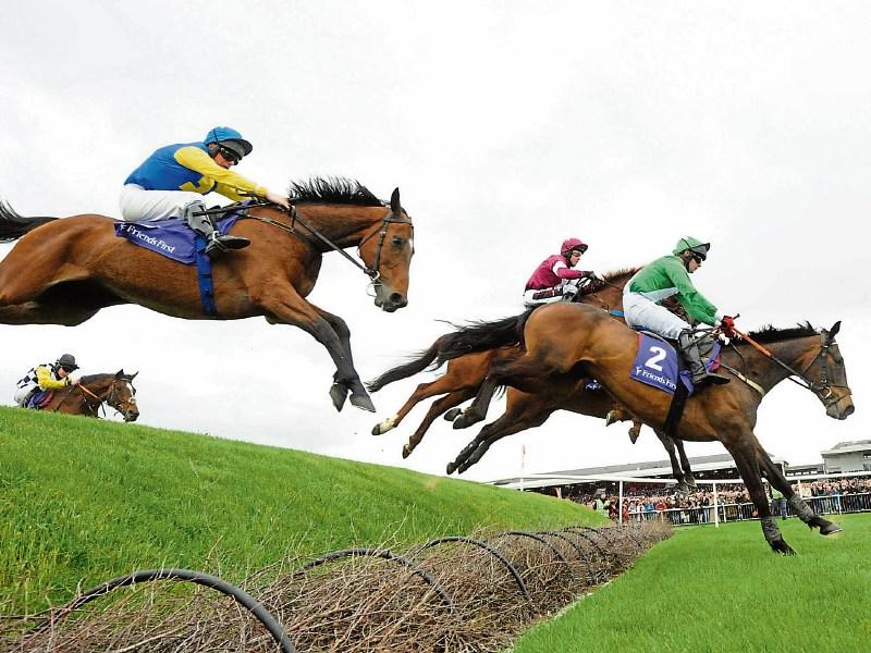Betting: Our man's top tips for Day 1 of Punchestown 2019