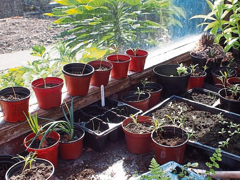 April is a busy time in the vegetable garden
