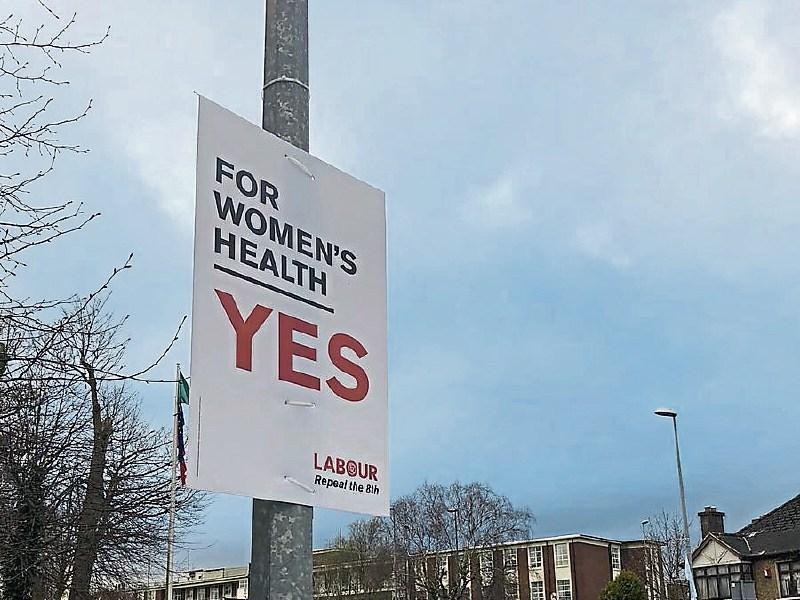 Former Education Minister reports removal of referendum posters to Limerick gardai