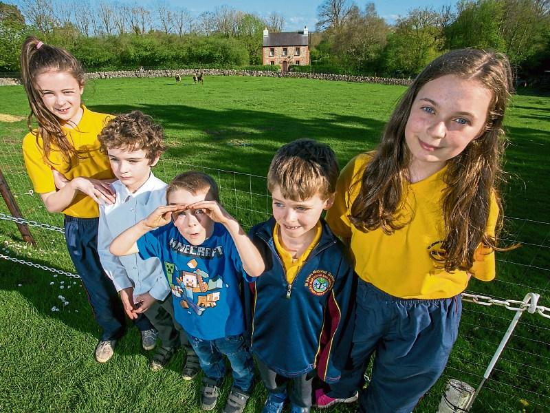 Eabha Reddin, Jamie O’Brien, Harry Reddin, Jack Reddin and Eabha O’Brien with the deer in the background at Bunratty Picture: Arthur Ellis
