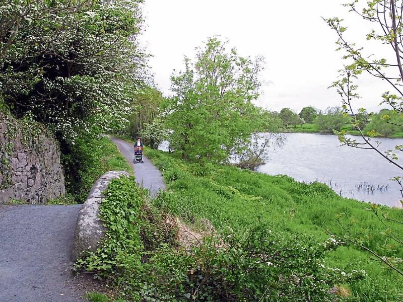 Plassey Bank was a popular spot for anglers. Now Cllr Marian Hurley wants support to encourage them back to the banks of the Shannon