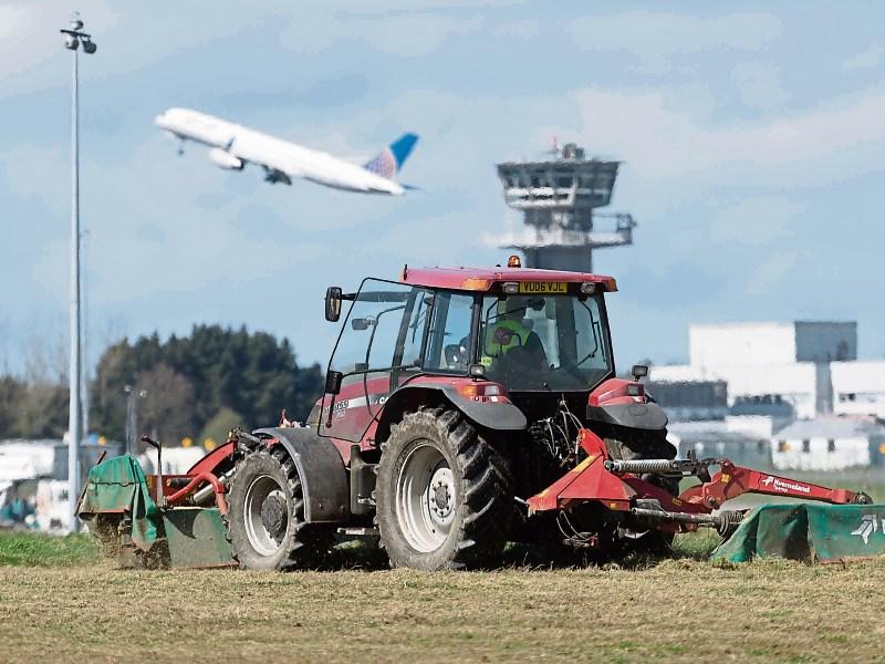 Limerick farmers caught in a fodder crisis were delighted to get fresh grass from Shannon Airport this week to feed their cattle  Picture: Eamon Ward