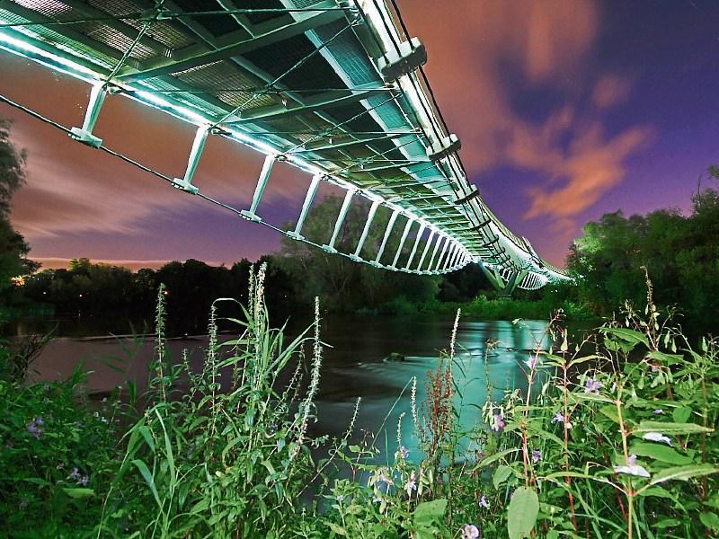 The Living Bridge at UL is one of the structures which is to ‘go green’  PICTURE: CATHERINE WALSH