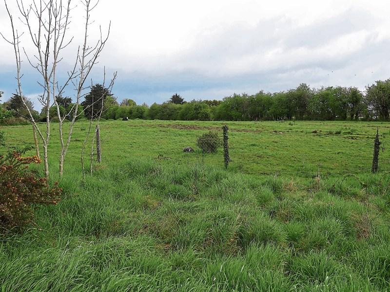A patch of land off the Condell Road has received the green light from local planners to construct 88 houses and 22 apartments