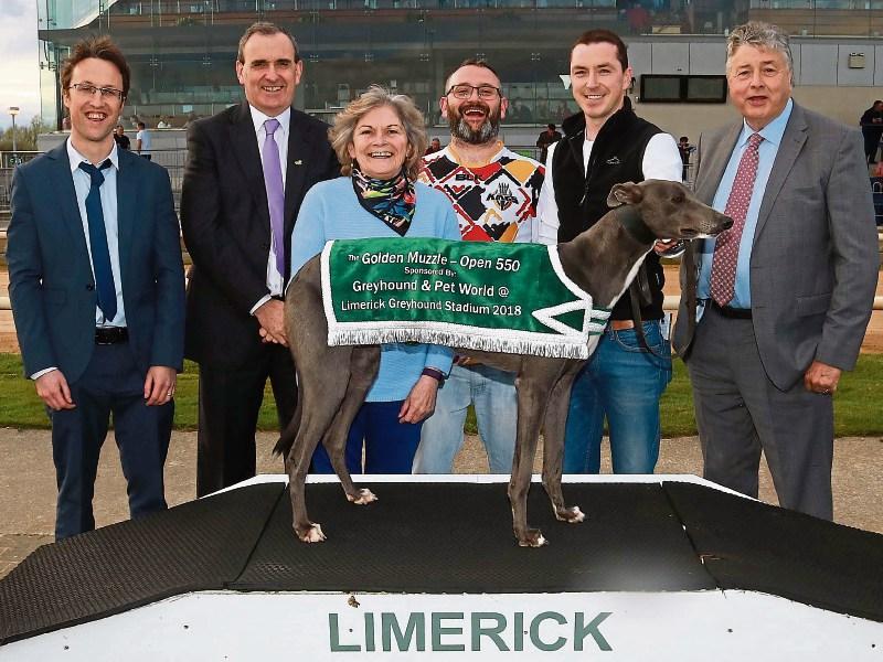 Golden Muzzle final duel of Clonbrien Hero & Good News in Limerick Greyhound Stadium
