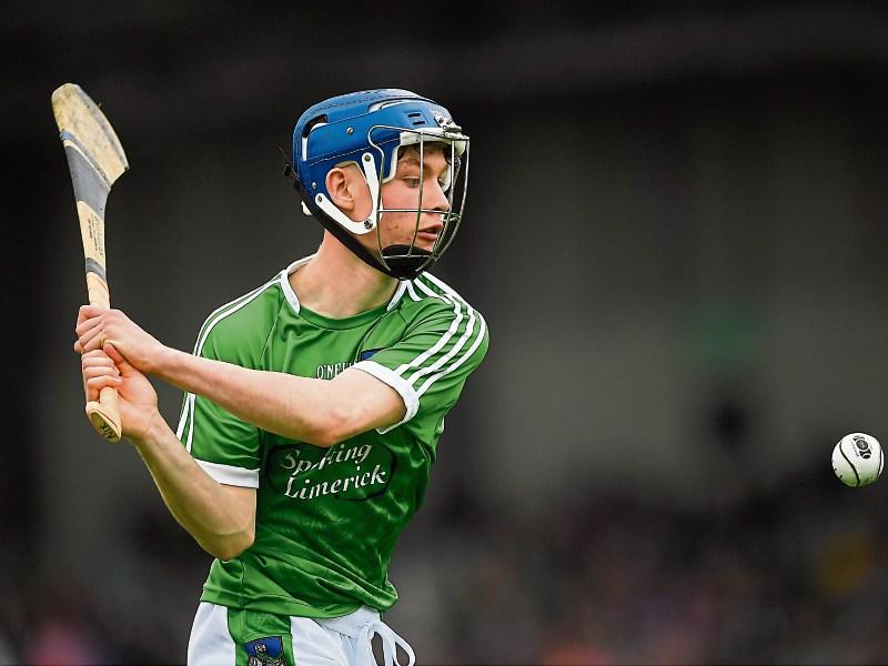 Cork the next test for Limerick minor hurlers