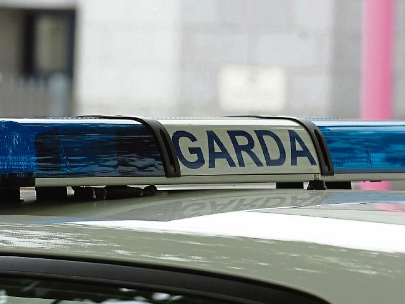 Garda fleet in Limerick surpasses 100 vehicles for first time - TD