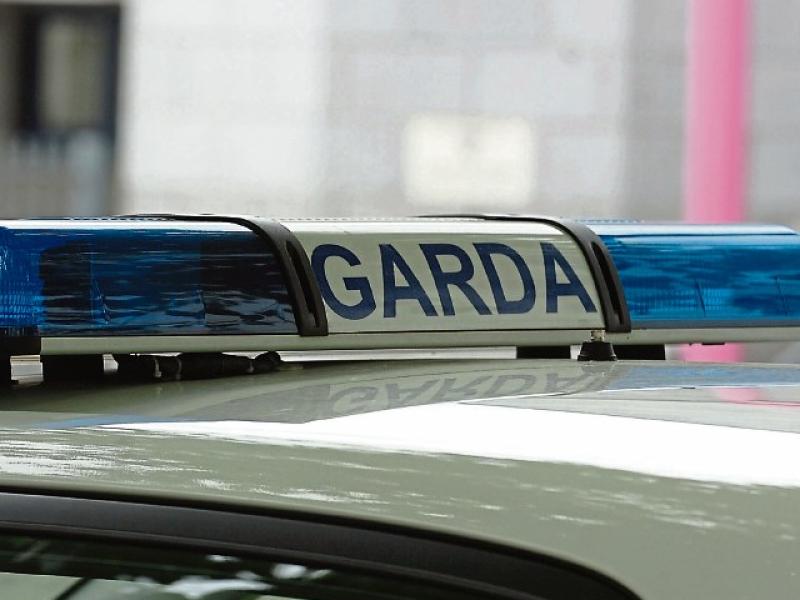 Limerick gardai respond to men hunting with dogs on farmers' land 
