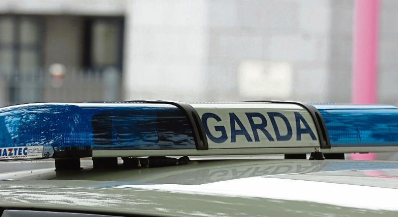 Limerick gardai hunt gang members who went on 'petrol station crime spree' in two counties