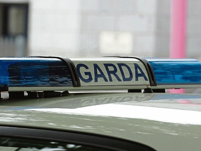 Gardai investigate alleged 'biting' incident in Limerick