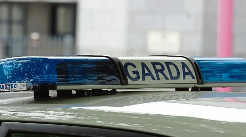 Gardai arrest man after car 'ends up in ditch' following collision on Limerick motorway