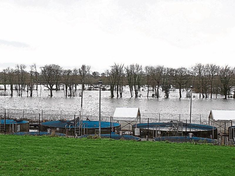 Risk: Mountshannon Road is prone to flooding  Picture: Michael Cowhey