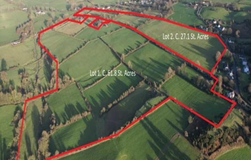 Strong start to the new auction season as Limerick farm sells for €1.4m
