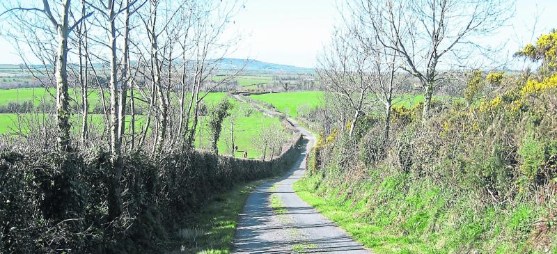 Green Fingers: Time is running out to tackle unruly hedges 