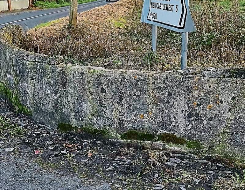 A lot done for safety but more to do urges Limerick councillors