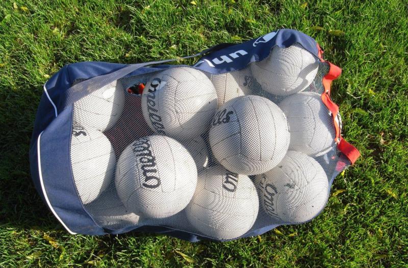 Kildimo-Pallaskenry secure quarter-final spot in Limerick SFC