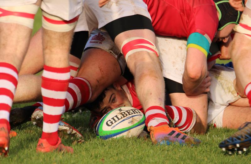 Limerick club rugby fixtures - March 31 to April 5
