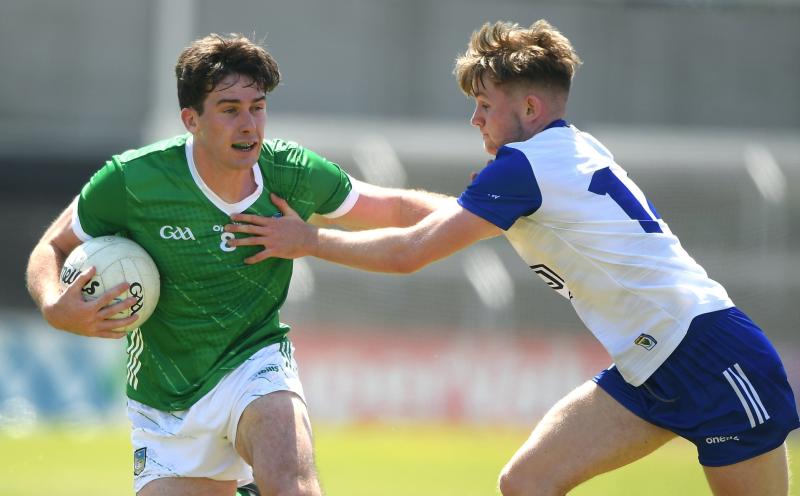 Limerick progress to Tailteann Cup quarter-finals despite defeat to Wicklow