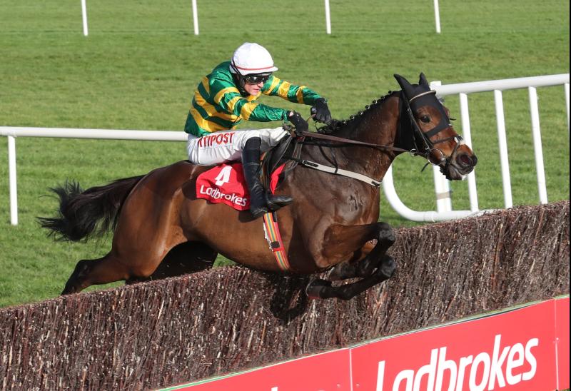 Bumper spell of success for Limerick jockeys on the track