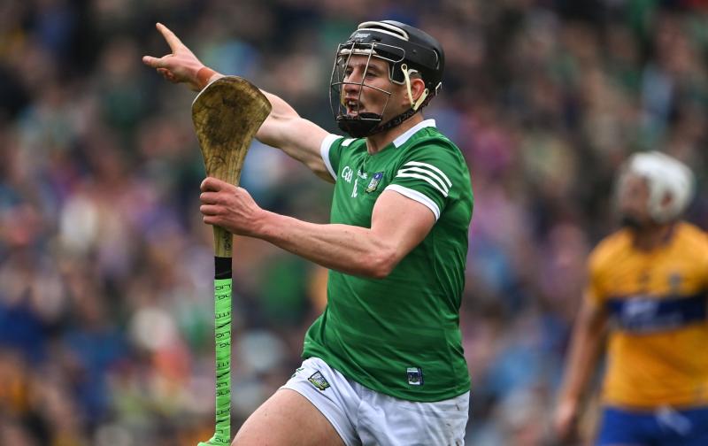 Limerick hurling ace Gearoid Hegarty nominated for monthly award