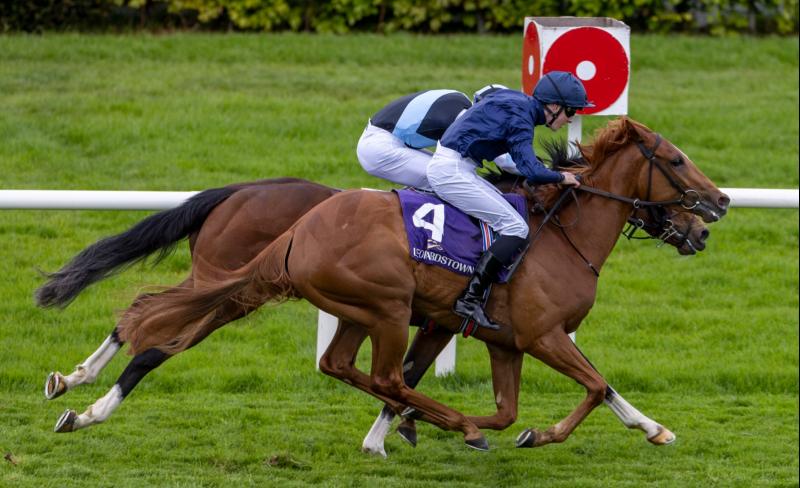 Talented young Abbeyfeale jockey visits winners' enclosure at Leopardstown