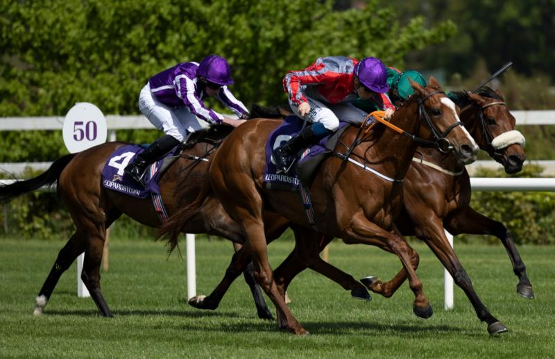 Limerick racing enjoys bumper start to May on the track