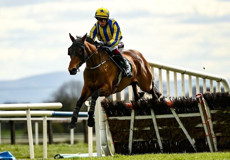 Star-studded entry list for JT McNamara Ladbrokes Munster National at Limerick