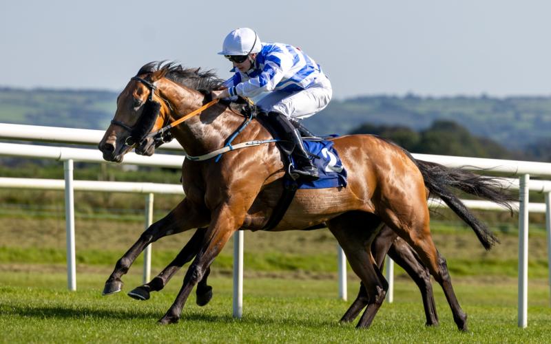 Abbeyfeale's Paddy Harnett among winners in bumper spell of success for Limerick jockeys