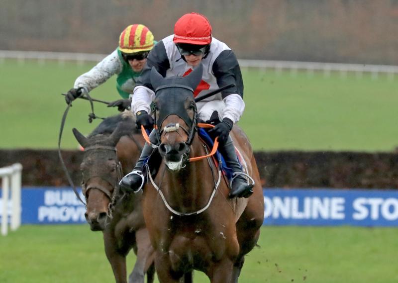 Bumper spell of success for local horse racing connections
