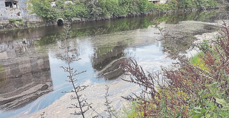 Sewage sludge a &lsquo;disgusting sight&rsquo; in Limerick river