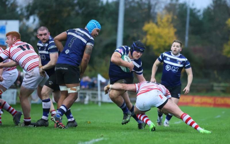 Two Limerick wins in the Energia All-Ireland League