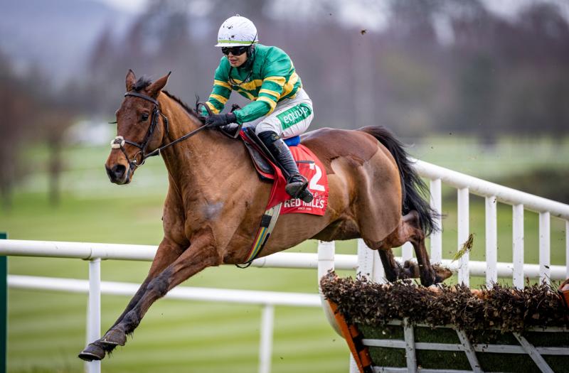 Limerick racing connections visit winners' enclosure