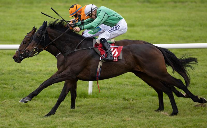 Limerick racing connections visit winners' enclosure