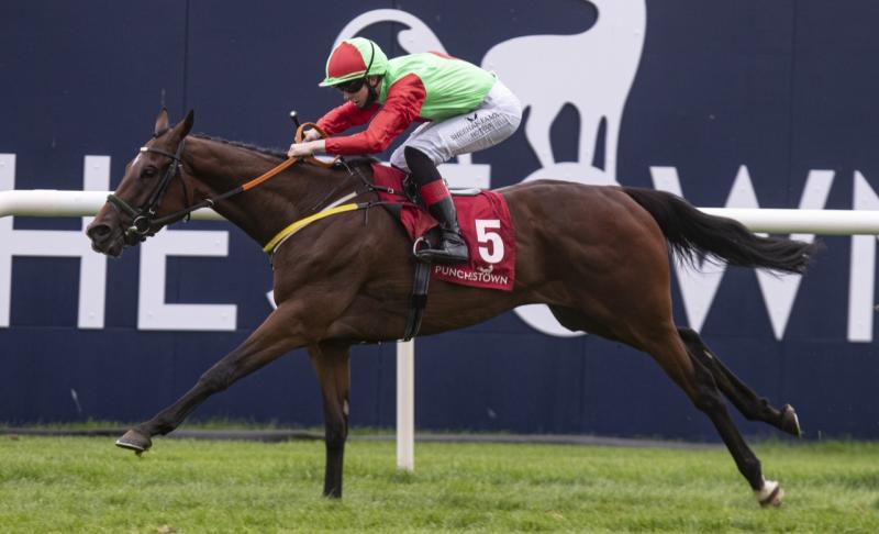 Abbeyfeale jockey scores first double on the track