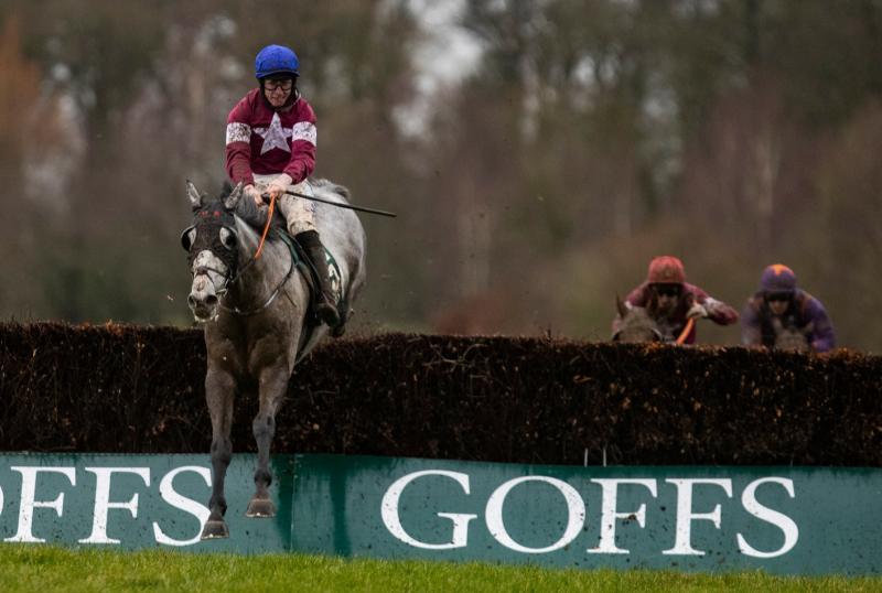 Top class entry for this month's Thyestes Chase at Gowran Park