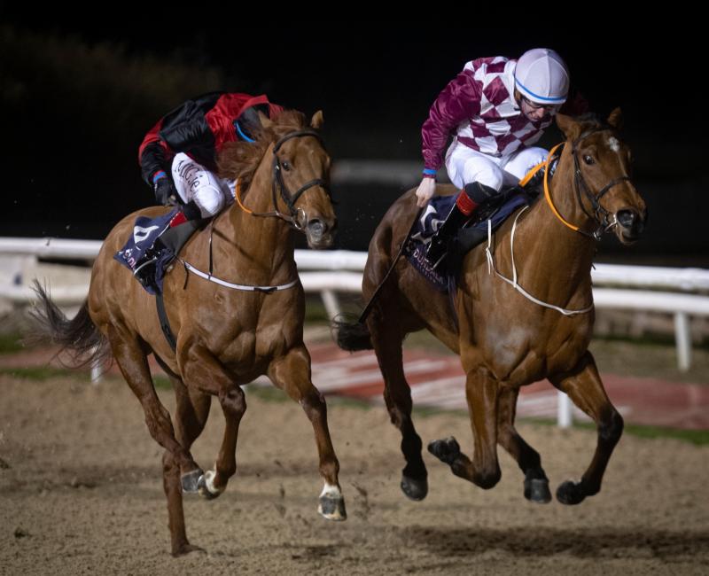 Limerick jockeys Paddy Harnett, Wesley Joyce and Mark Enright in winners' enclosure