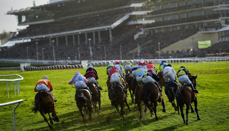 Robbie Power backs decision to continue four-day Cheltenham Festival