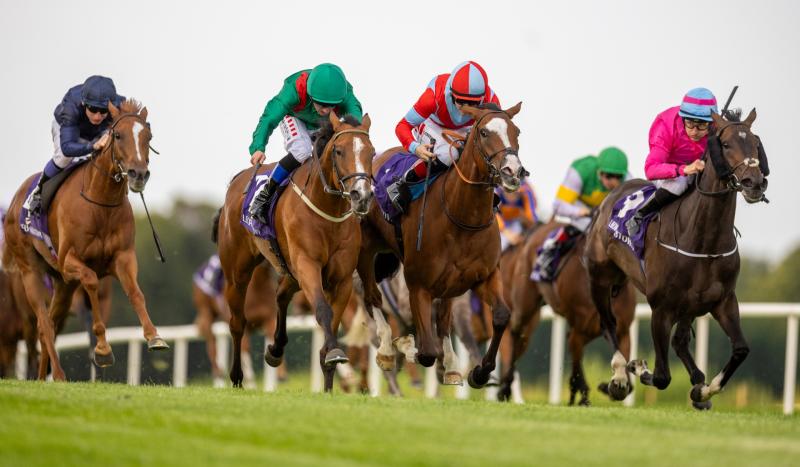 Limerick jockey Chris Hayes celebrates hat-trick of wins
