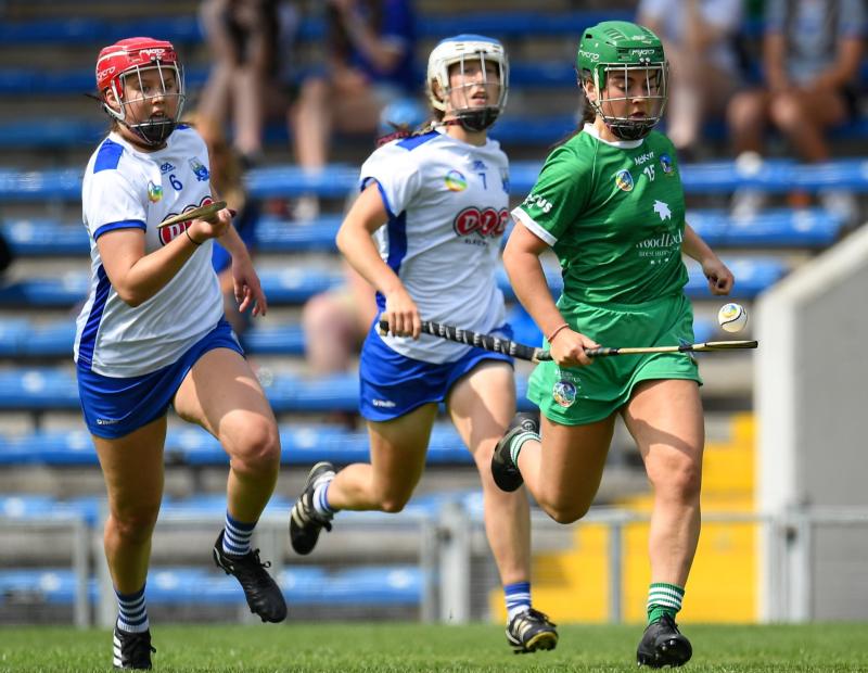 Limerick lose out to Waterford in All-Ireland camogie quarter-final
