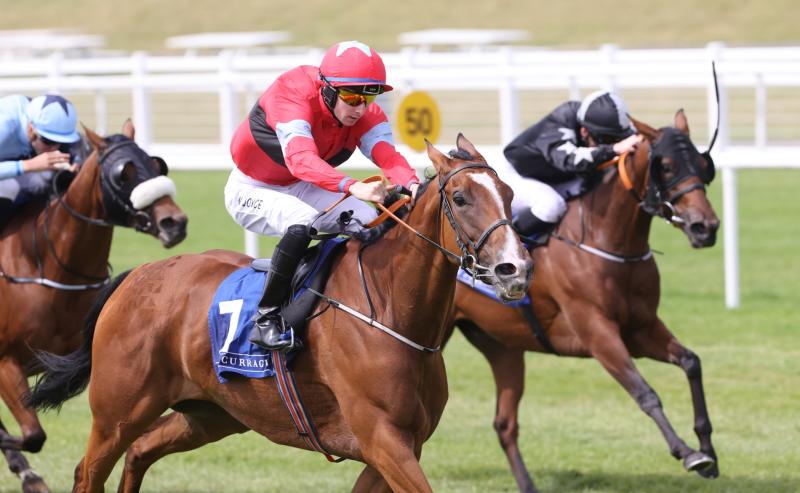 Kilmallock jockey scores thrilling first win on the racecourse