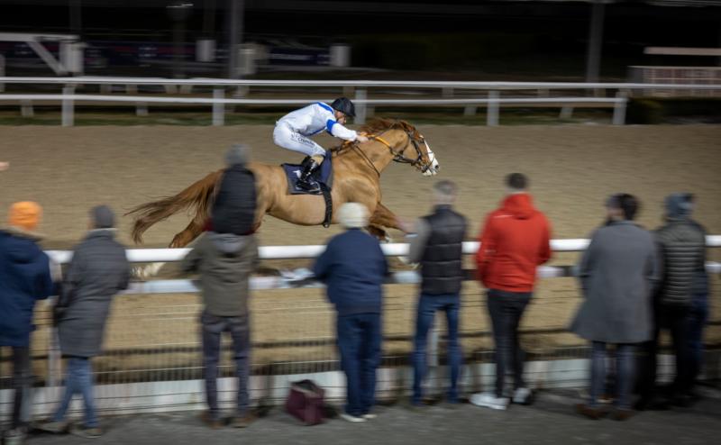 Limerick jockey Billy Lee in winners' enclosure at Dundalk