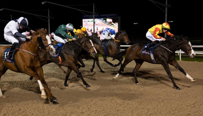 Limerick racing connections in winners' enclosure