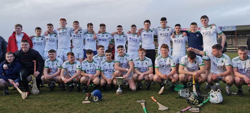 Ballybrown celebrate Limerick Premier U21 hurling final success