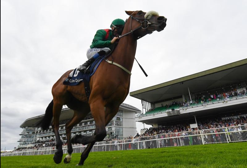 WATCH: Limerick jockey scores thrilling win at Galway Summer Festival