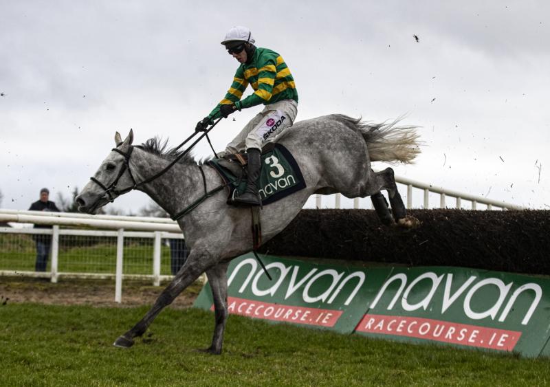 Limerick racehorse  trainers visit winners' enclosure